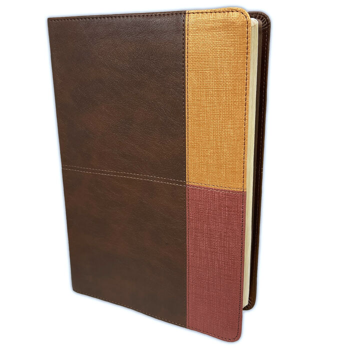 Biblia de estudio Arcoiris RVR60 i/piel marrón 3 tonos (Nueva edición)
