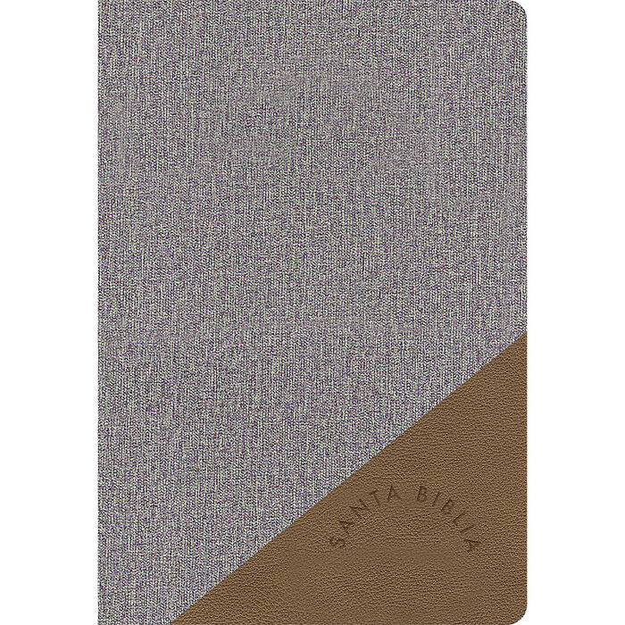 Biblia RVR60 Letra Grande Tamaño Manual gris y marrón, símil piel