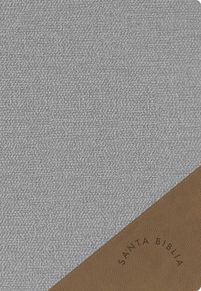Biblia Reina Valera 1960 Letra Súper Gigante. I/piel gris (Nueva edición)