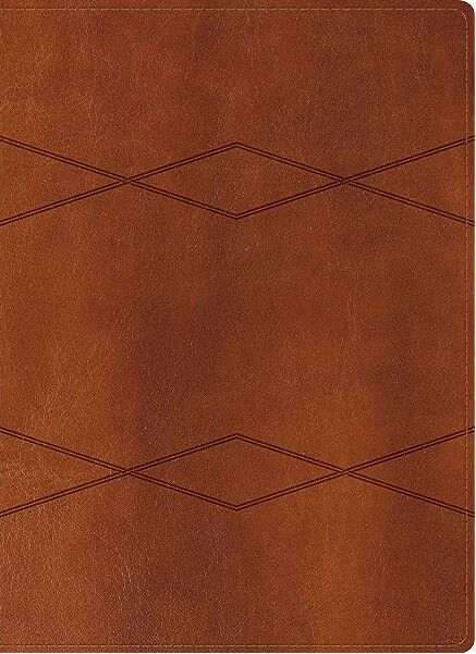 Biblia de Estudio Holman RVR60 Piel Italiana café con indice