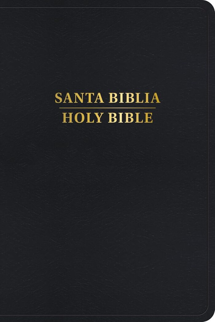Biblia Bilingüe RVR60 / KJV I/piel negro