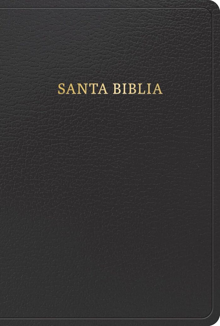 Biblia Reina Valera 1960 Tamaño manual letra grande i/piel negro (Nueva edición)