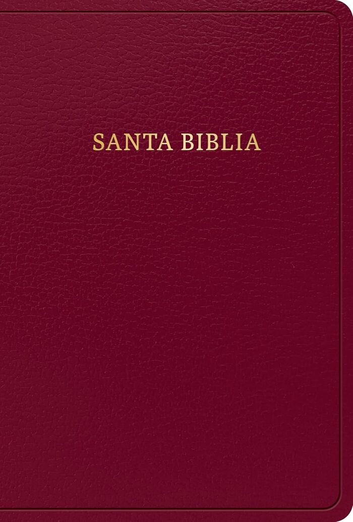 Biblia Reina Valera 1960 Tamaño manual letra grande i/piel rojizo (Nueva edición)