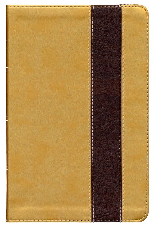 Biblia RVR60 Edicion Especial Manual Oro/Marron