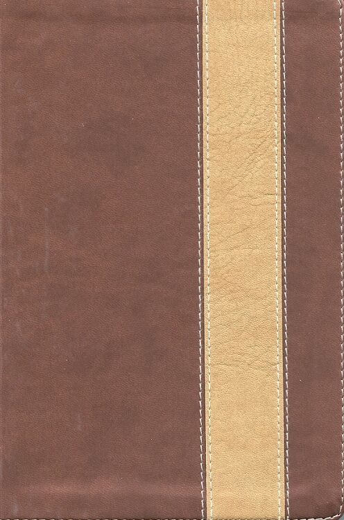Biblia RVR60 Edicion Especial Manual Bronce