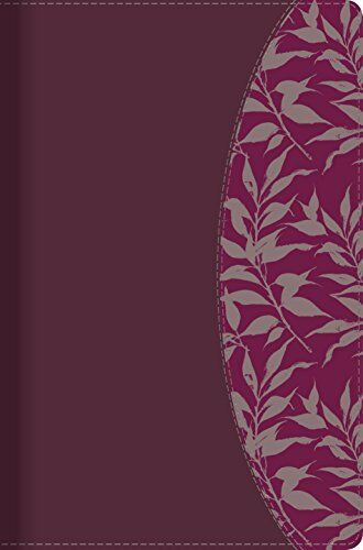 Biblia de Estudio para Mujeres RVR60 piel italiana Vino/fucsia