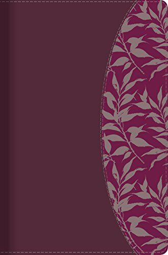 Biblia de Estudio para Mujeres RVR60 piel italiana Vino/fucsia