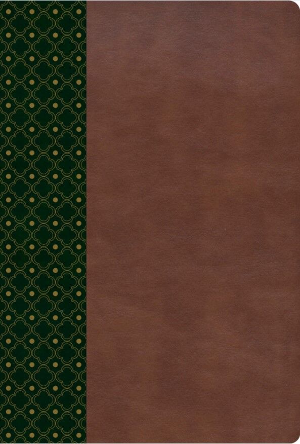 Biblia de Estudio Scofield RVR60 verde oscuro/castaño piel italiana (Nueva edición)