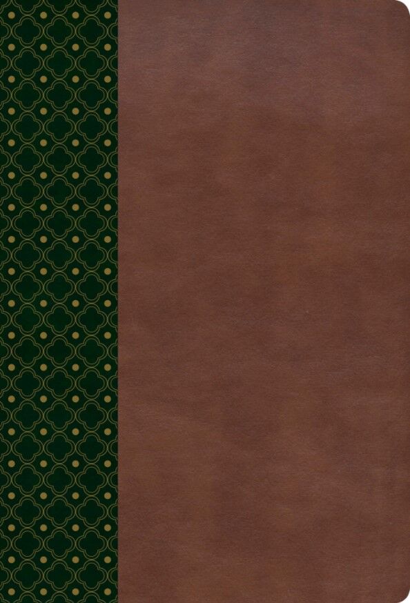 Biblia de Estudio Scofield RVR60 verde oscuro/castaño piel italiana con indice (Nueva edición)