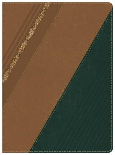 Biblia de Estudio Holman RVR60 Piel italiana Castaño/Verde