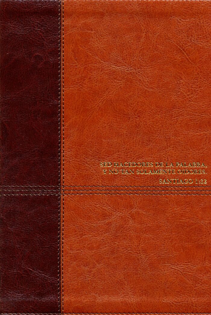 Biblia de estudio Diario Vivir RVR60 Piel Italiana Dos Tonos Marrón/Café con índice