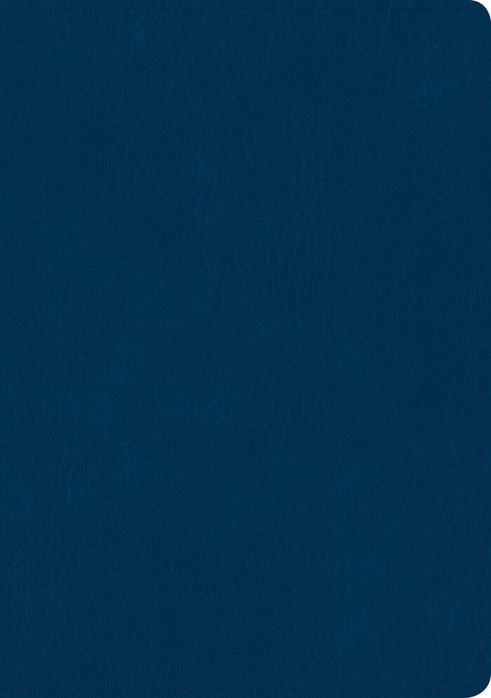 Biblia NTV edición clásica letra gigante i/piel azul con índice