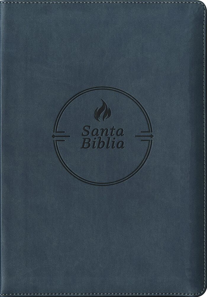 Biblia RVR60 Letra grande cierre edición referencias i/piel gris
