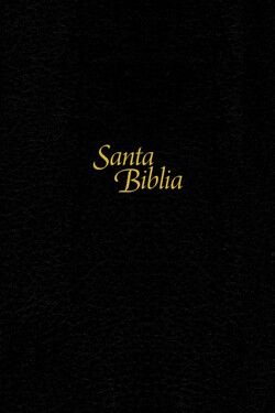 Biblia NTV Edición personal letra grande i/piel negro
