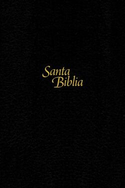 Biblia NTV Edición personal letra grande i/piel negro