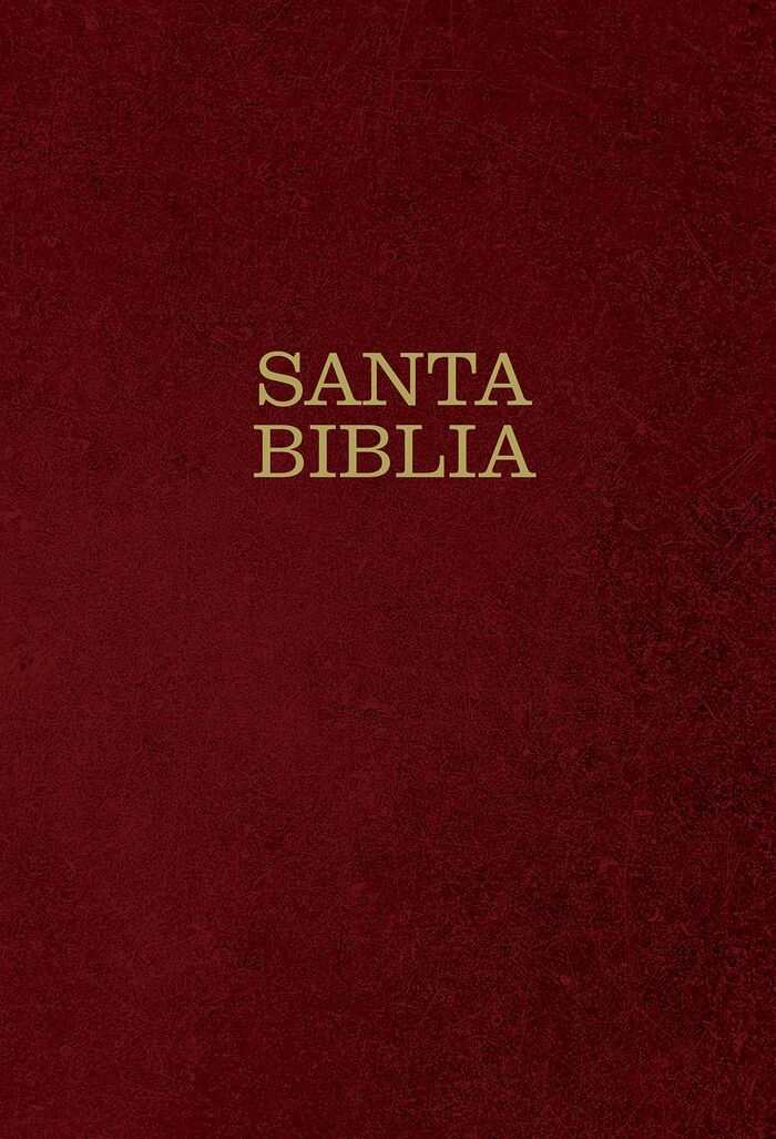 Biblia NTV Letra súper gigante Tapa dura Rojiza