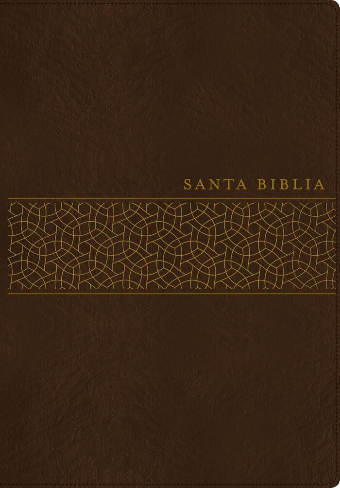 Biblia NTV tamaño manual letra gigante i/piel café