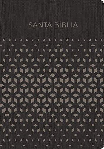 Biblia RVR60 Regalos y Premios i/piel gris