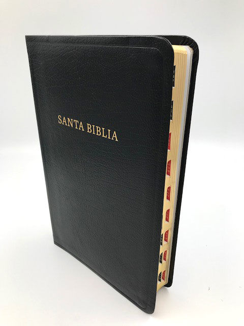 Biblia RVR60 Referencias Especiales Piel Fabricada Negro con indice