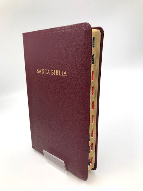 Biblia RVR60 Referencias Especiales Piel Fabricada Rojizo con indice