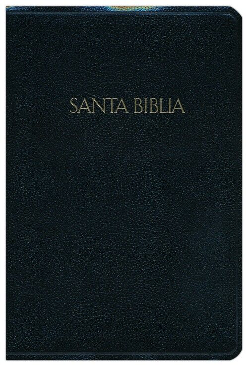 Biblia RVR60 Letra Grande Tamaño Manual Negro i/piel con indice