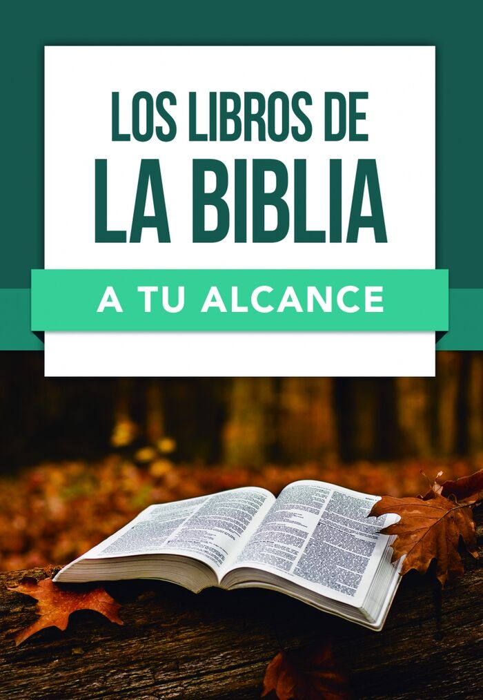 Los libros de la biblia a tu alcance (Bolsillo)