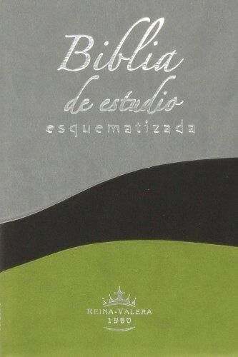 Biblia Esquematizada RVR60 i/piel Gris/Negro/Verde