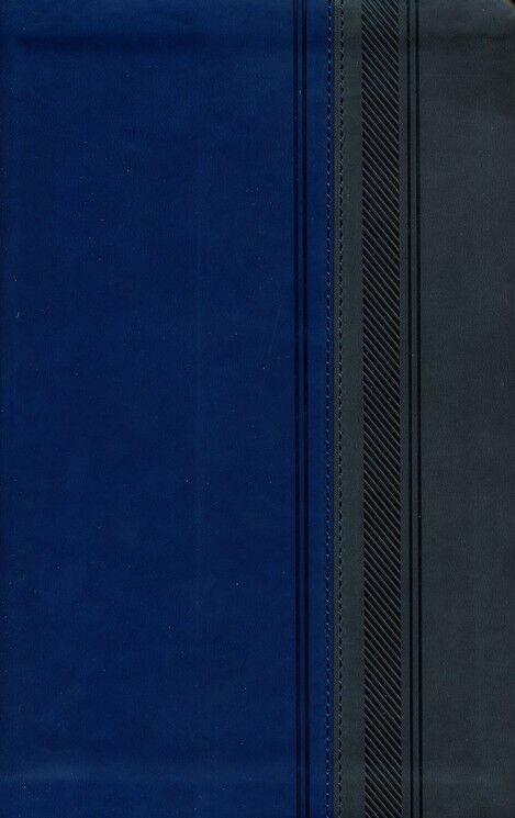 Biblia RVR77 edicion especial i/piel duotono gris/azul