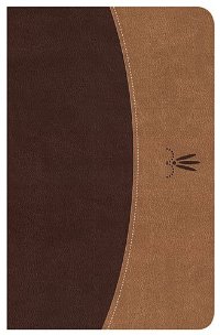 Biblia RVR77 Edición especial i/piel Duotono Caoba/Pardo