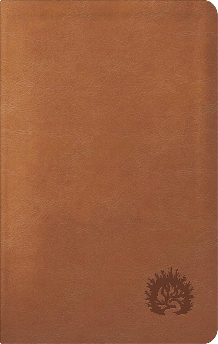 La Biblia de Estudio de La Reforma LBLA, Edición Condensada Simil piel café claro.