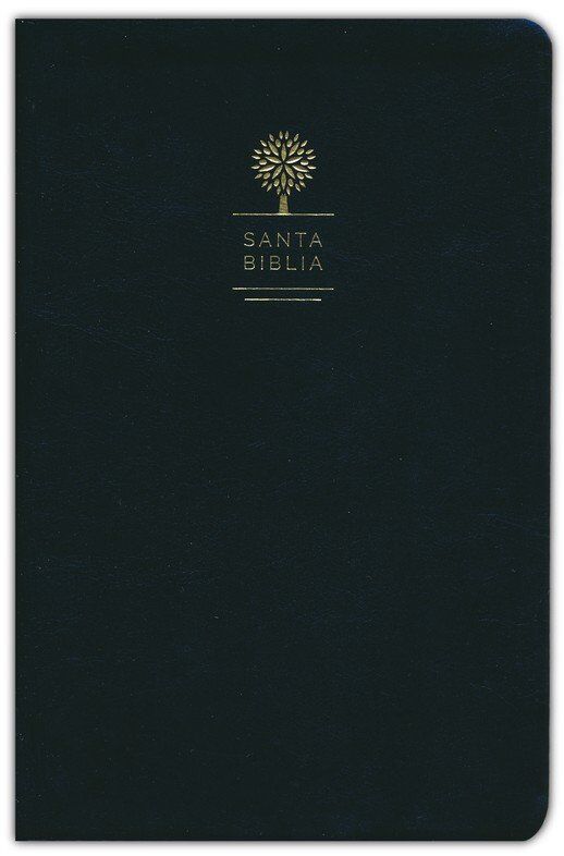 Biblia RVR60 tamaño manual letra grande i/piel negro
