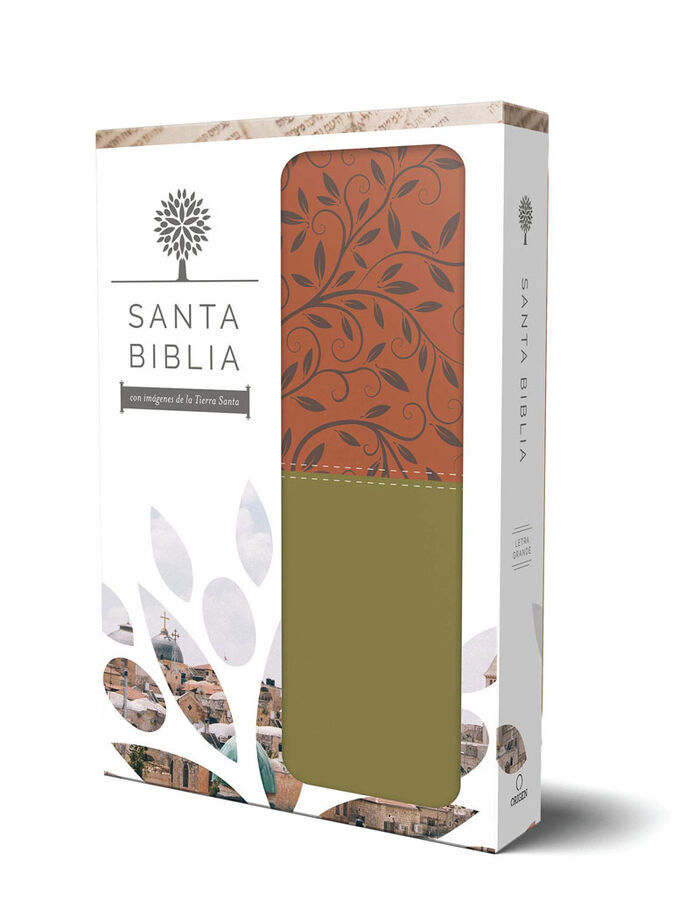 Biblia RVR60 letra grande i/piel verde/marrón con imágenes de de Tierra Santa