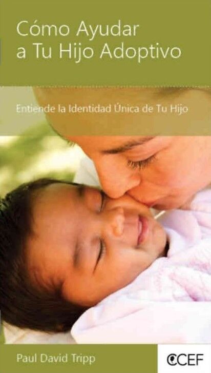Cómo ayudar a tu hijo adoptivo (bolsillo)