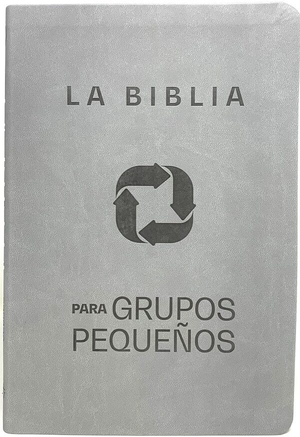Biblia para grupos pequeños - NBV lujo i/piel gris/rojo
