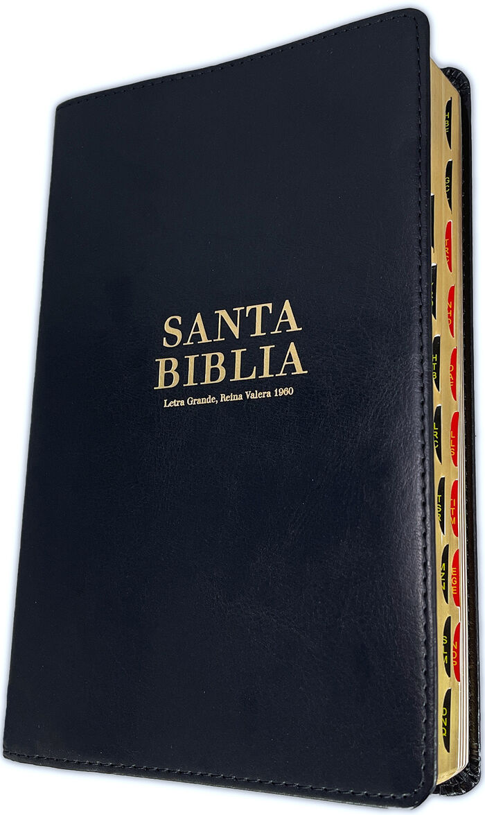 Biblia RVR60 tamaño manual letra grande - negra con índice