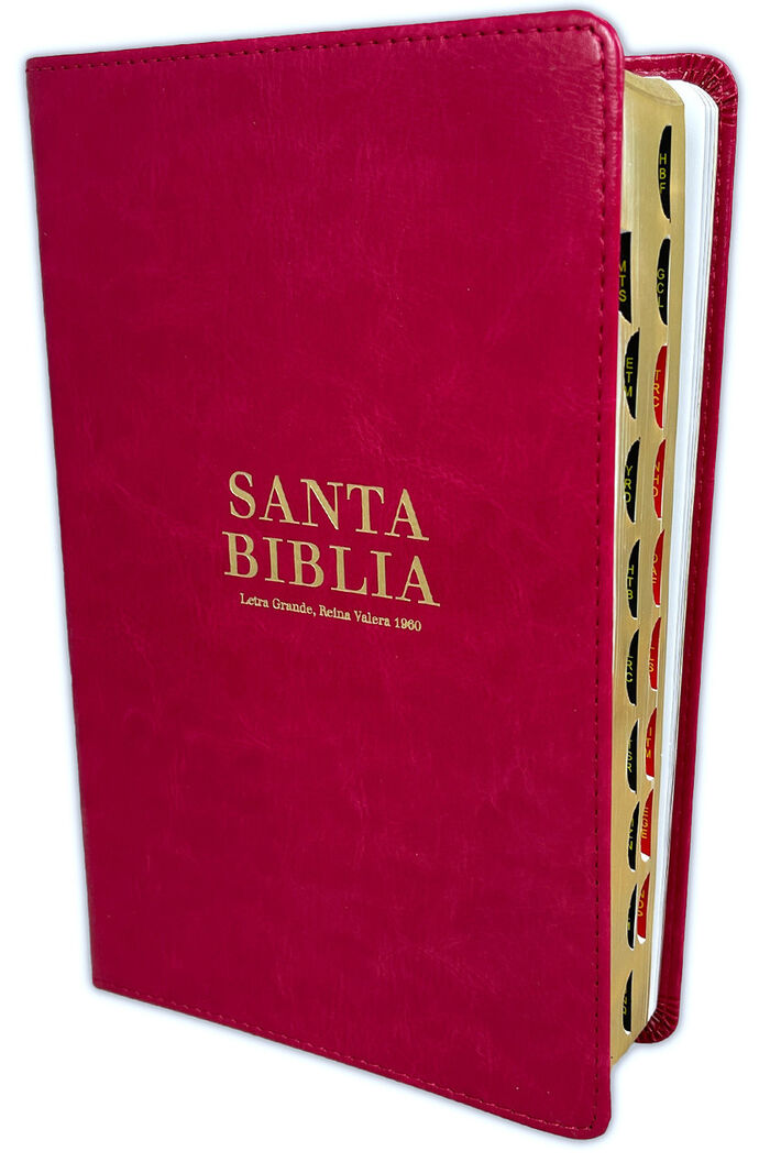 Biblia RVR60 tamaño manual letra grande - rojo con índice