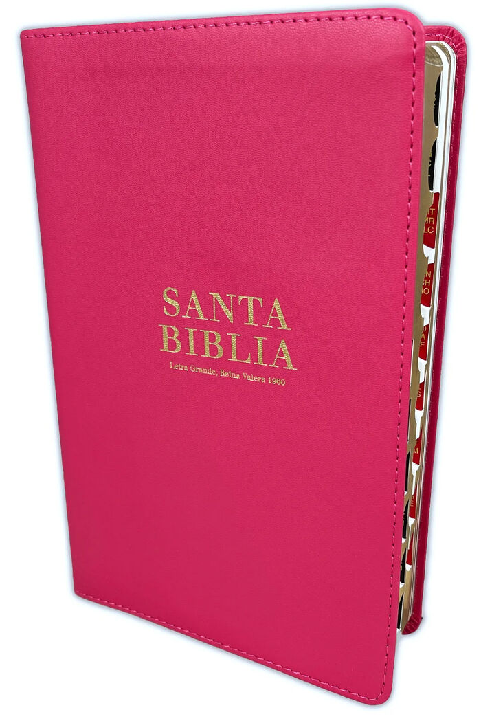 Biblia RVR60 tamaño manual letra grande - rosa con índice