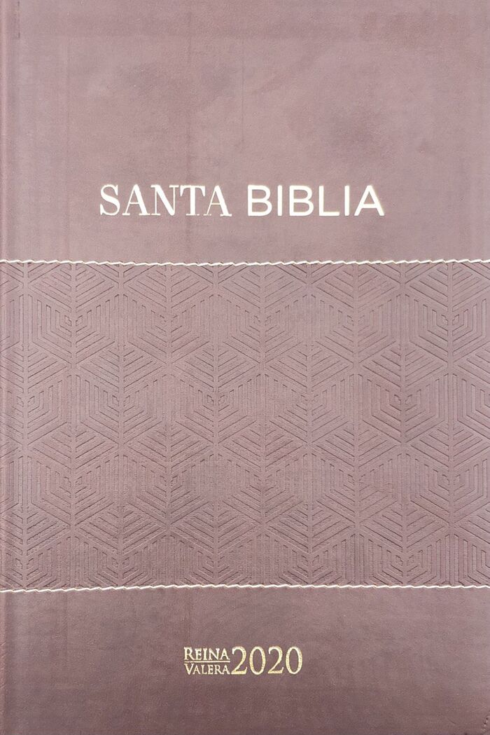 Biblia RVR2020 Tamaño Manual Letra Grande i/piel marrón