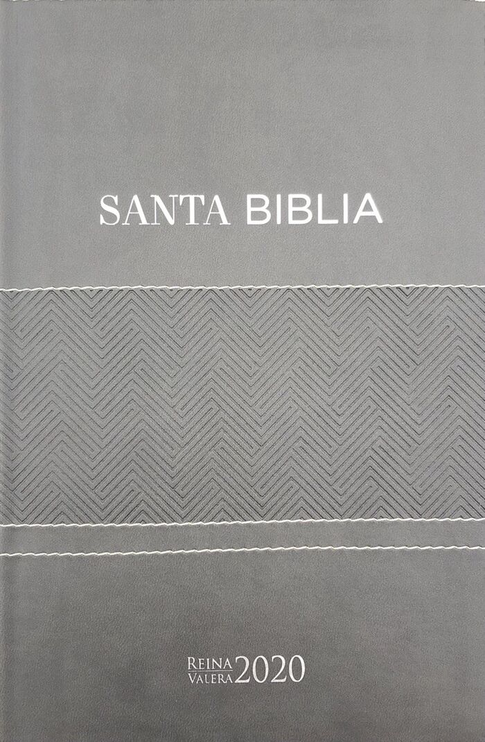 Biblia RVR2020 Tamaño Manual Letra Grande i/piel gris