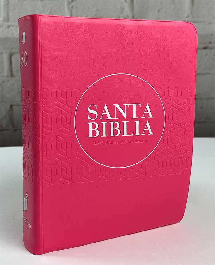 Biblia RVR60 bolsillo vinilo rosa con canto rosa
