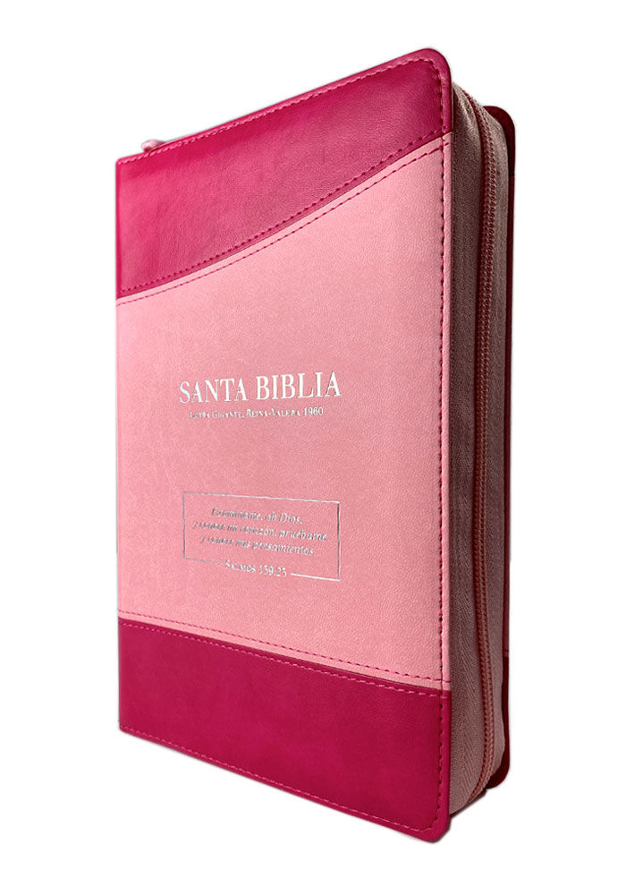biblia reina valera 1960 letra grande en español