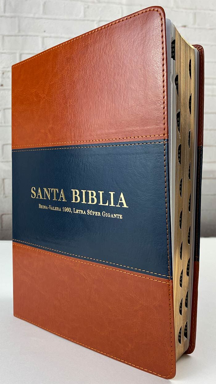 la biblia reina valera 1960 letra grande la biblia reina valera 1960 letra grande