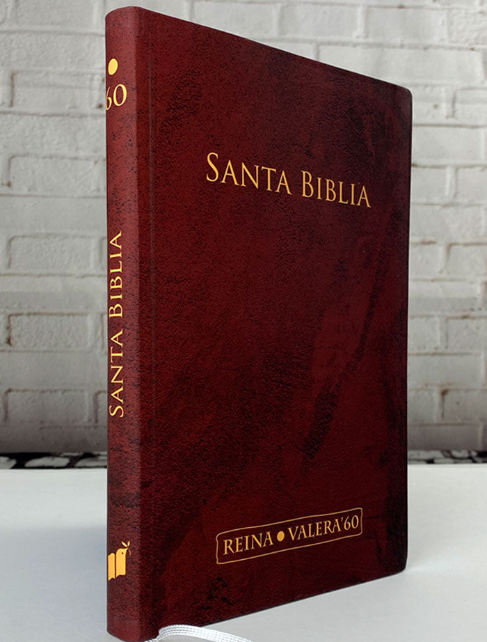 biblia reina valera 1960