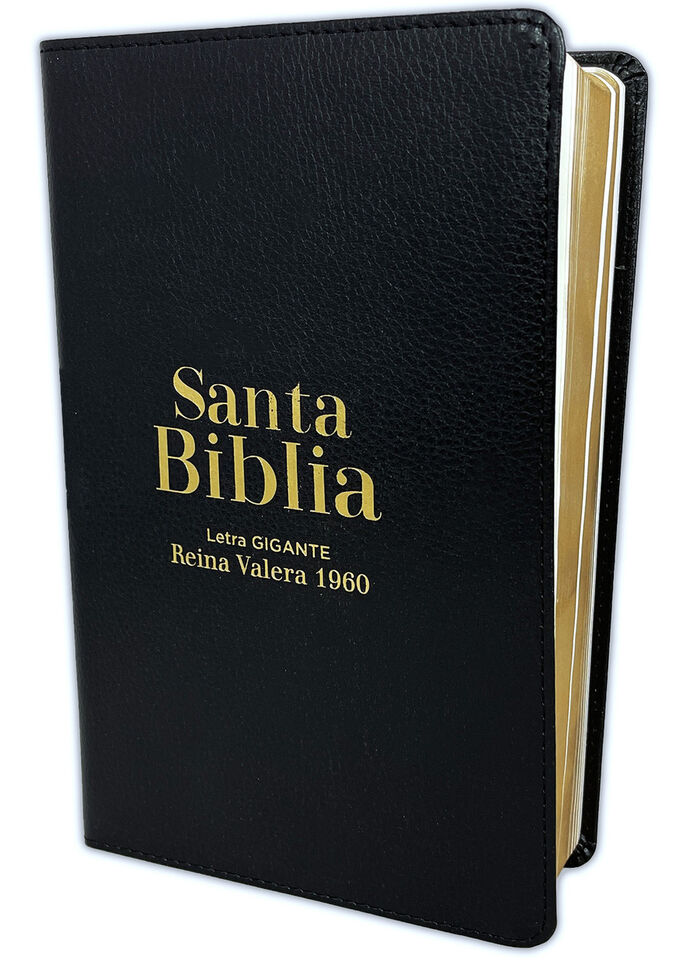 Biblia Tamaño manual letra Gigante i/piel negro