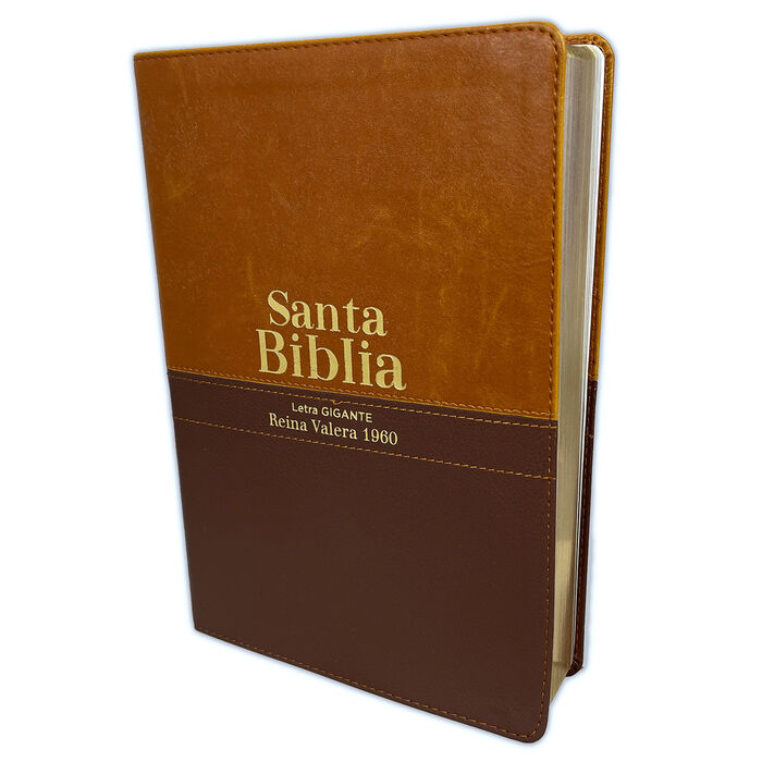 Biblia RVR60 letra Gigante i/piel café/café colección Bitono