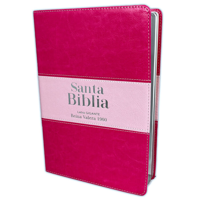 Biblia RVR60 letra Gigante i/piel rosa/rosa colección Bitono
