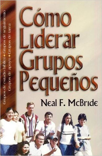 Como Liderar Grupos Pequeños