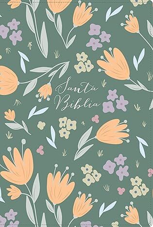 Biblia RVR60 letra grande tamaño manual edición especial, aqua, símil piel