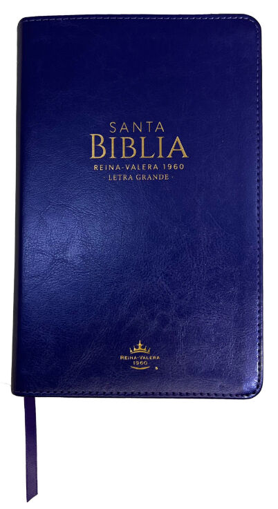 Biblia RVR60 Tamaño Manual Letra Grande i/piel LILA