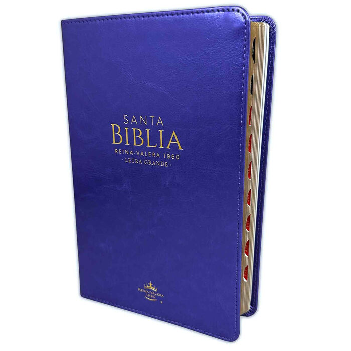 Biblia RVR60 Tamaño Manual Letra Grande i/piel con índice LILA